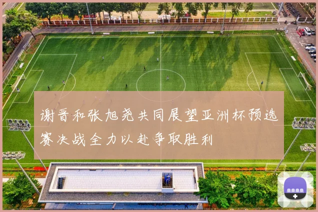 谢晋和张旭尧共同展望亚洲杯预选赛决战全力以赴争取胜利