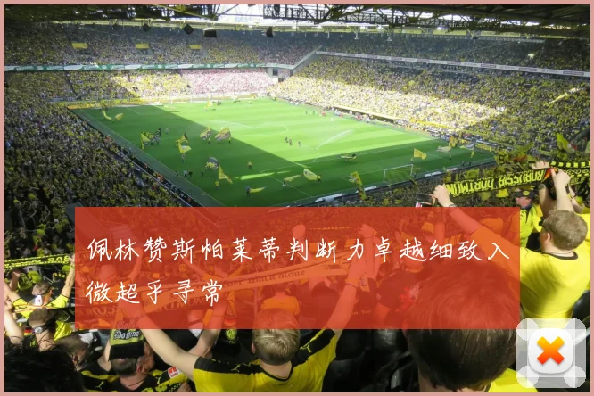 佩林赞斯帕莱蒂判断力卓越细致入微超乎寻常