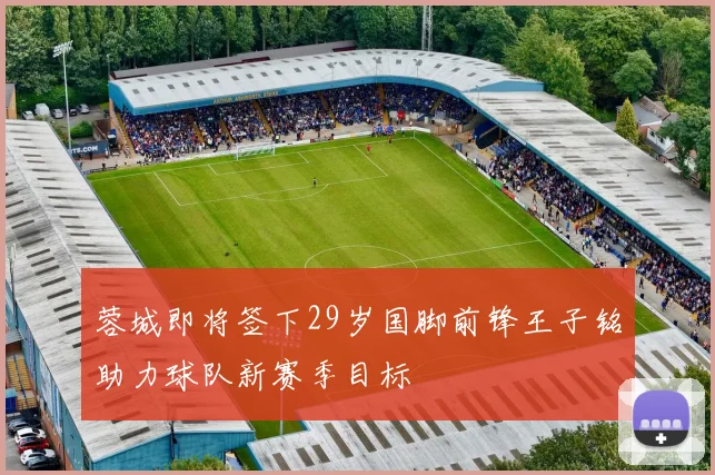 蓉城即将签下29岁国脚前锋王子铭助力球队新赛季目标