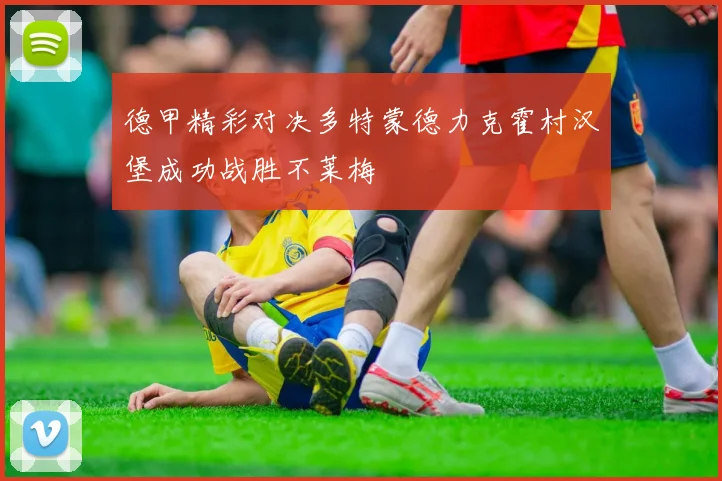 德甲精彩对决多特蒙德力克霍村汉堡成功战胜不莱梅