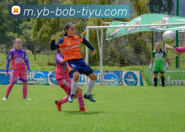 BOB体育品牌故事