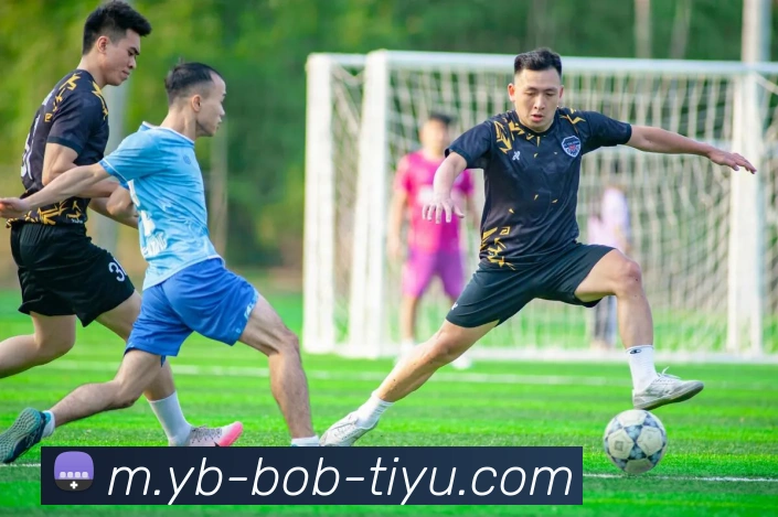 BOB体育服务体系